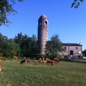 Lunigiana Selfguided Agriturismo